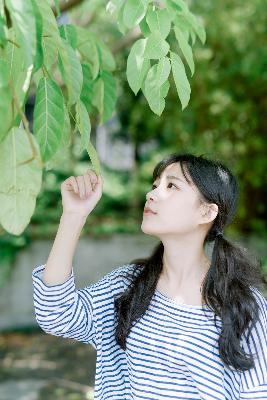 八戒八戒电影免费播放大全